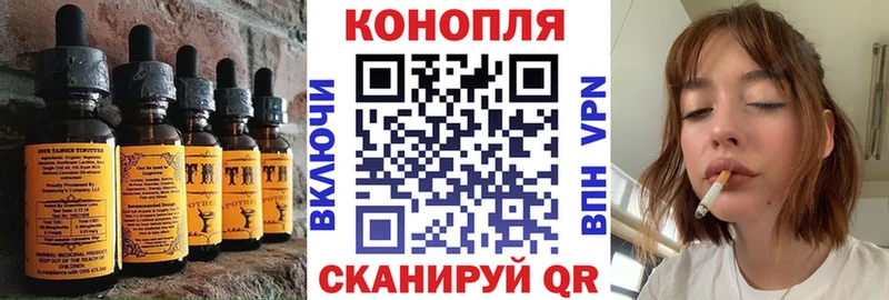Cannafood конопля Муравленко