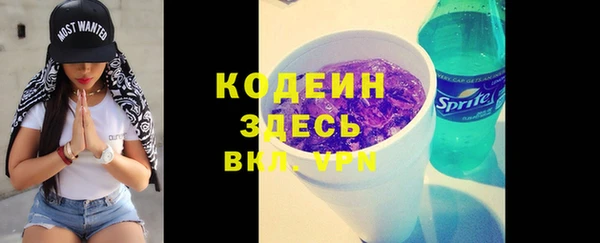 соль ск Арсеньев